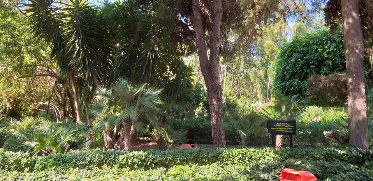 Gartenanlage Dionysos Hotel