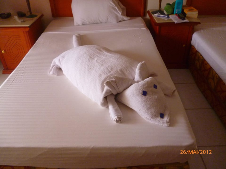 Hund Blend Club Aqua Resort
