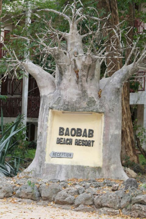 Der Baobab-Baum Baobab Beach Resort & Spa