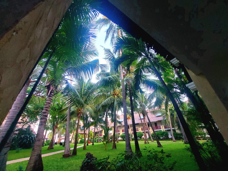 Gartenanlage Bahari Beach Hotel