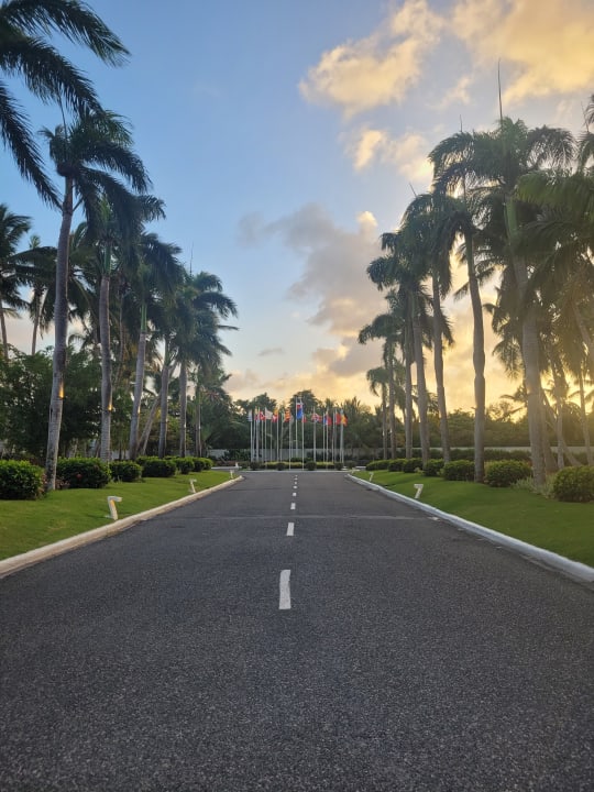 Ausblick Catalonia Punta Cana - All Inclusive