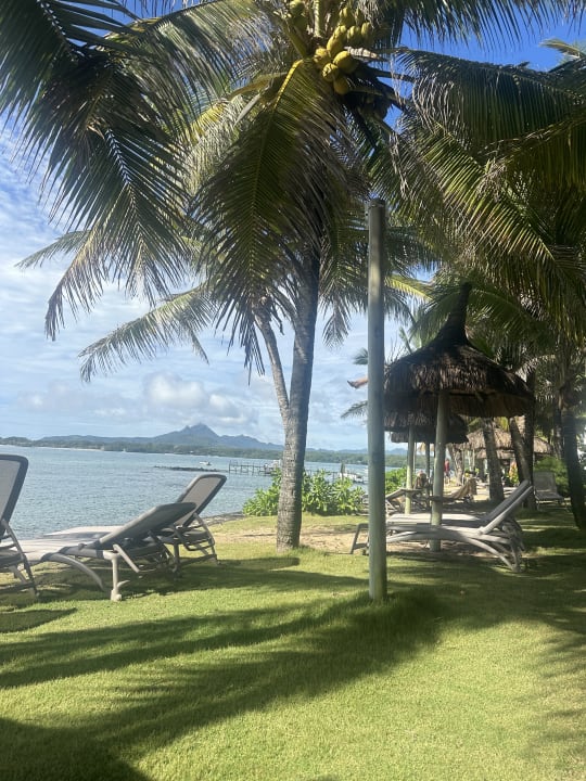 Ausblick Tropical Attitude - Adults only