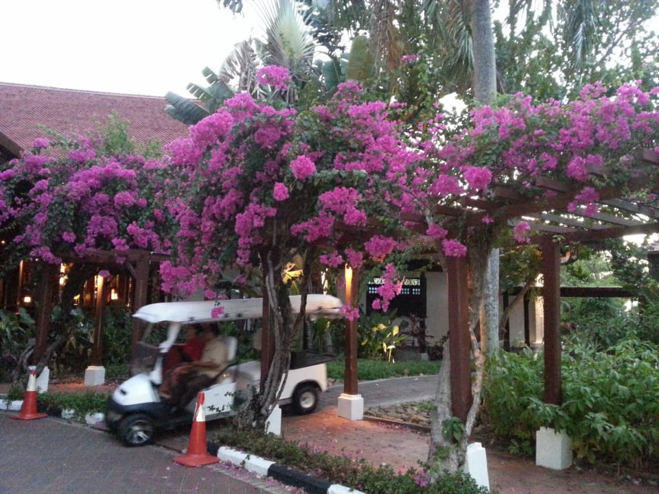 Lobby Pelangi Beach Resort & Spa
