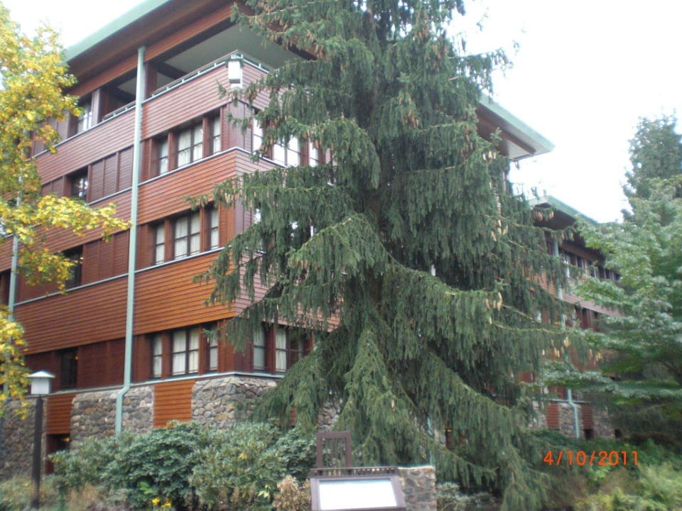 Teil des Hauptgebäudes Disney's Sequoia Lodge