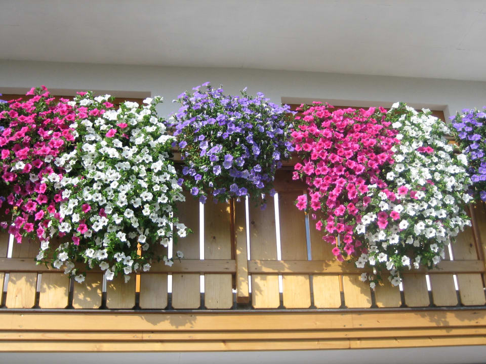 Sonstiges Pension - Appartement Kristall