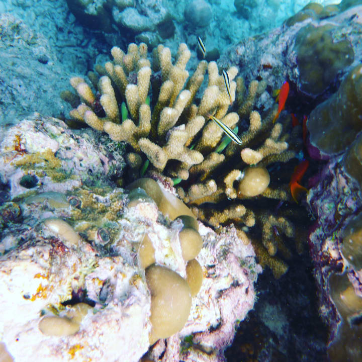 Sport & Freizeit NH Collection Maldives Reethi Resort