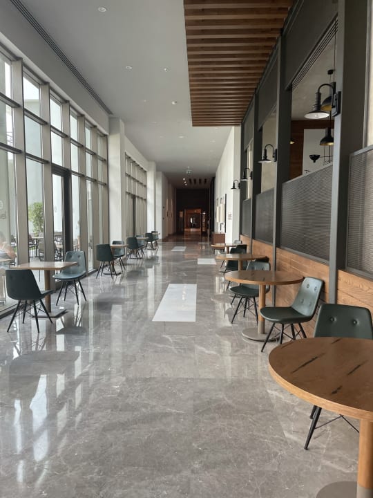 Gastro Acanthus Cennet Barut Collection