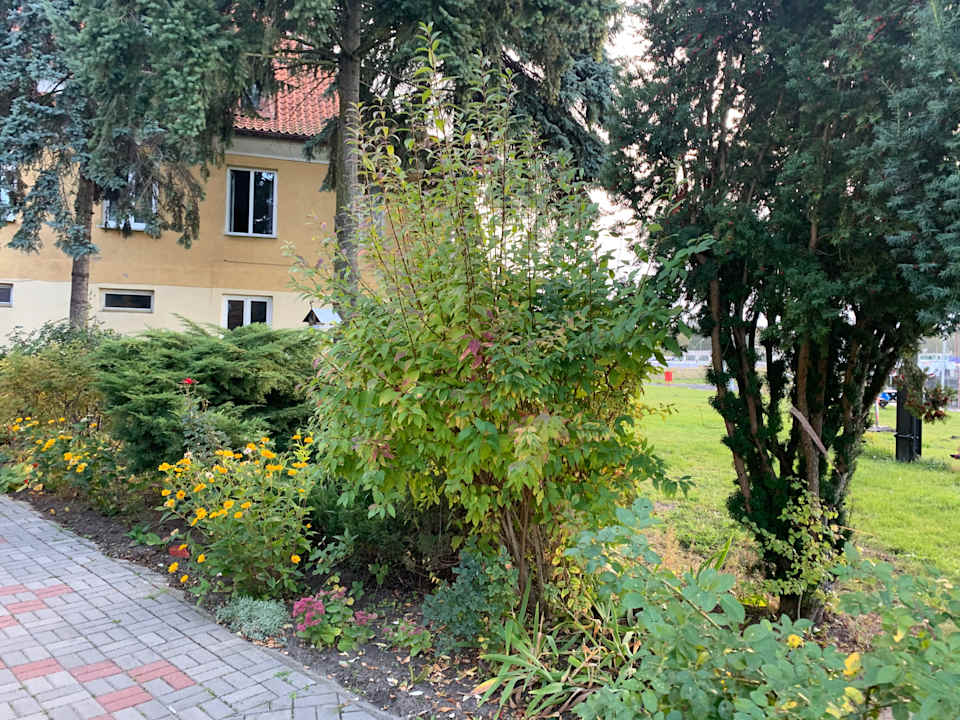 Gartenanlage Noclegi Jachtklub Elbląg