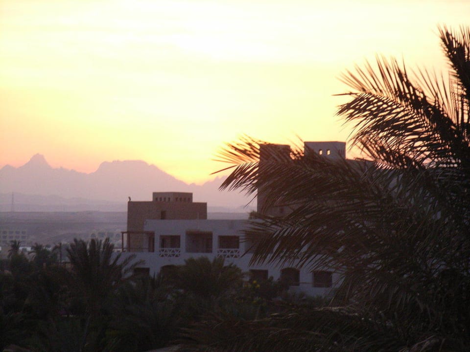 Ausblick aus Zimmer Fort Arabesque Resort, Spa & Villas