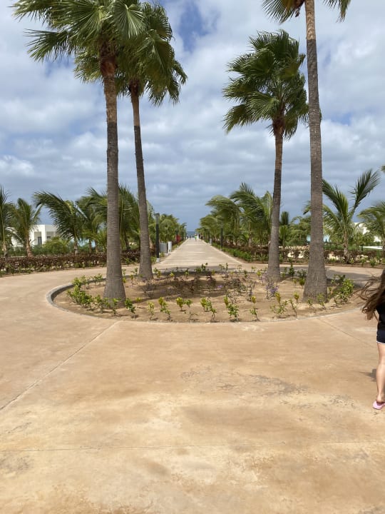 Gartenanlage Hotel Riu Palace Boavista