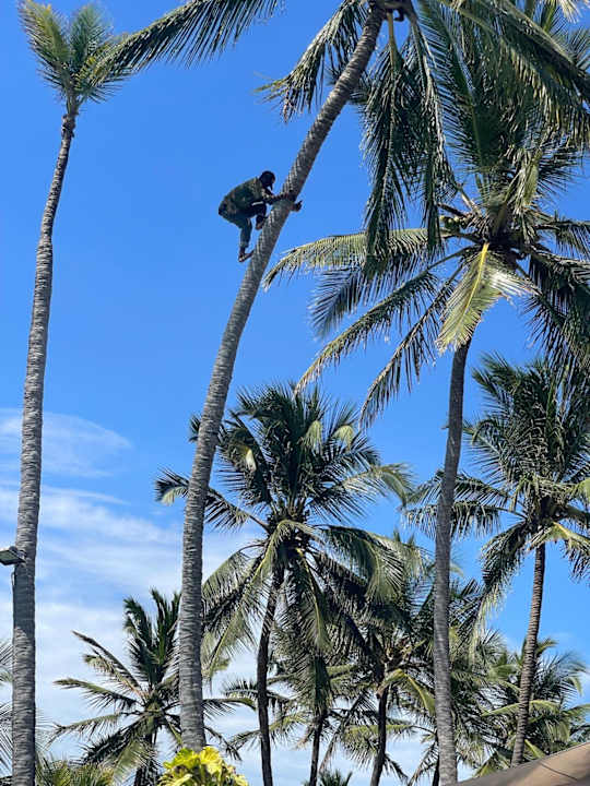 Sonstiges Bahari Beach Hotel