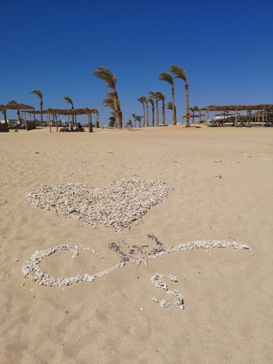 Strand Steigenberger Resort Alaya Marsa Alam - Red Sea - Adults only