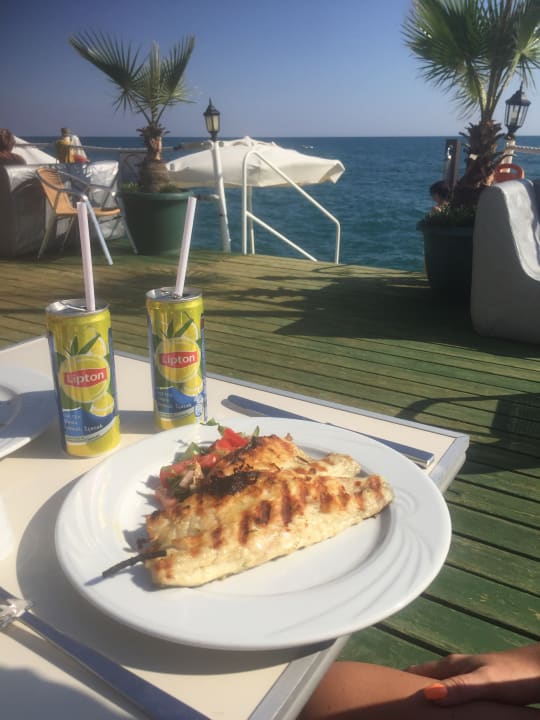 Gastro Hotel Delphin Imperial