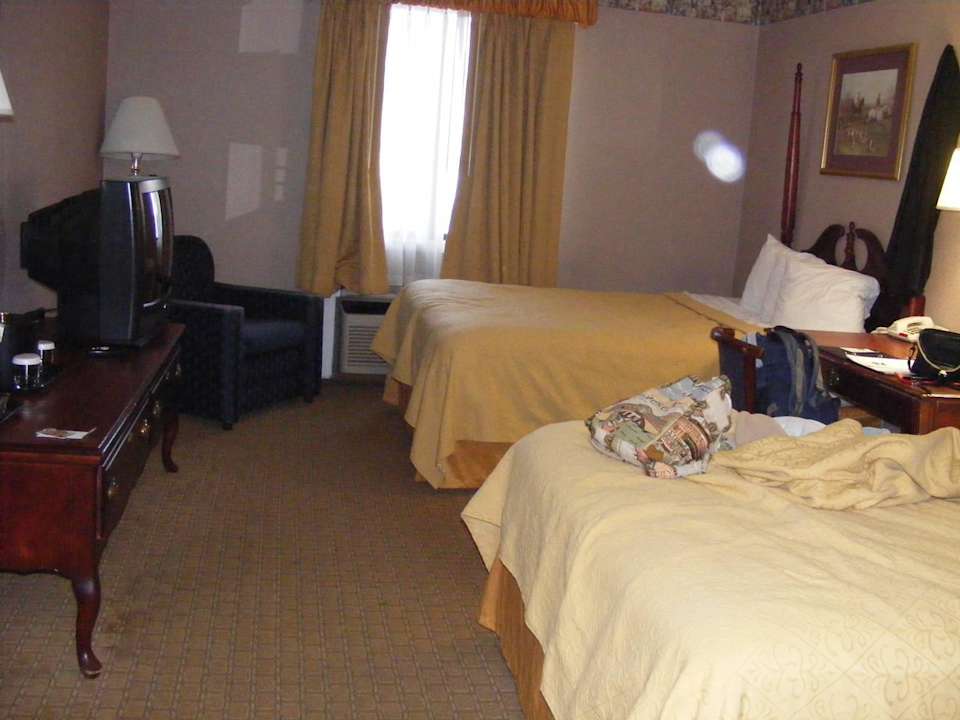 Big beds Hotel Quality Inn O'Hare Airport