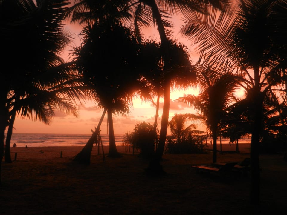 Sunset Mermaid Hotel & Club