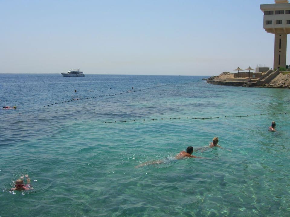 Schnorcheln am Riff Arabella Azur Resort