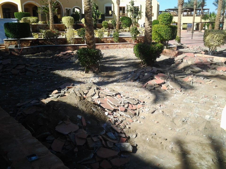 Das ist doch mal was anderes Jaz Solaya