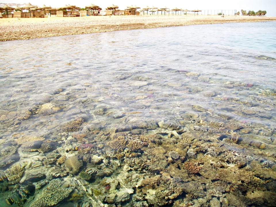 Strand Happy Life Village