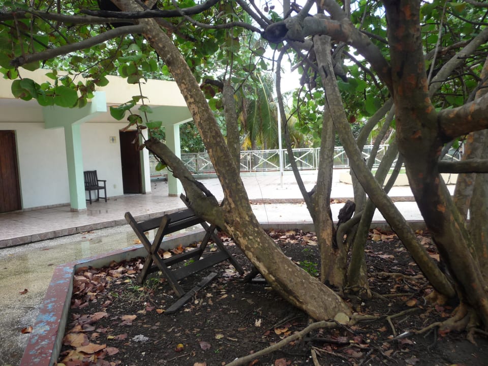 Gartenanlage Hotel Gran Caribe Premium Triton / Neptuno