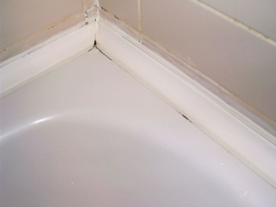 Bad Palmeras Beach Hotel