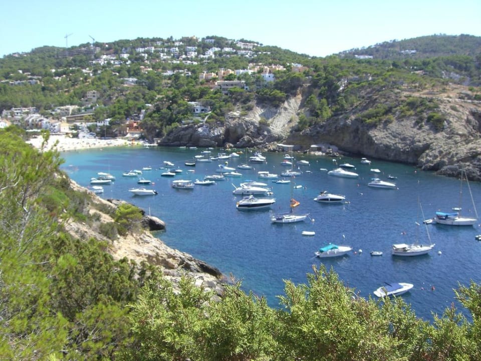 Ausbick auf die Bucht Hotel Aquarium