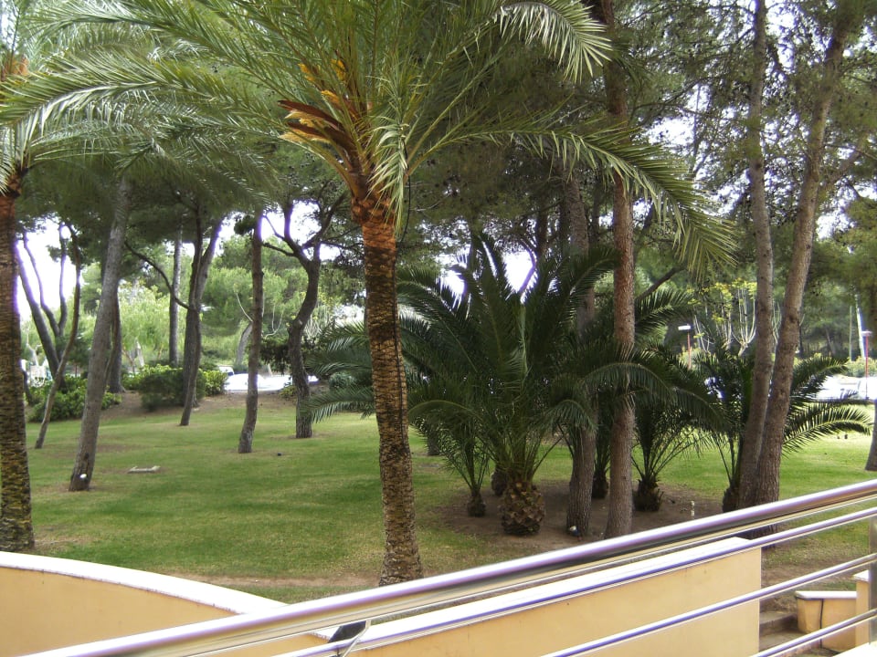 Blick Richung Straße Grupotel Natura Playa