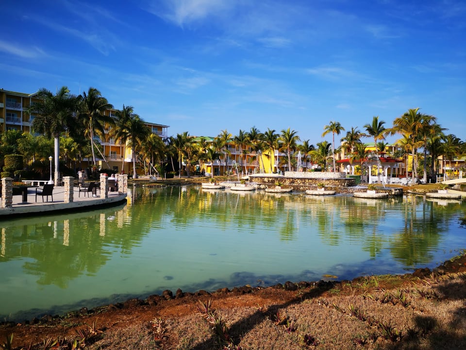 Gartenanlage Melia Las Antillas - Adults only