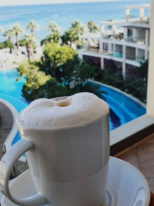 Ausblick Paloma Pasha