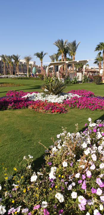 Gartenanlage Pickalbatros Palace Resort