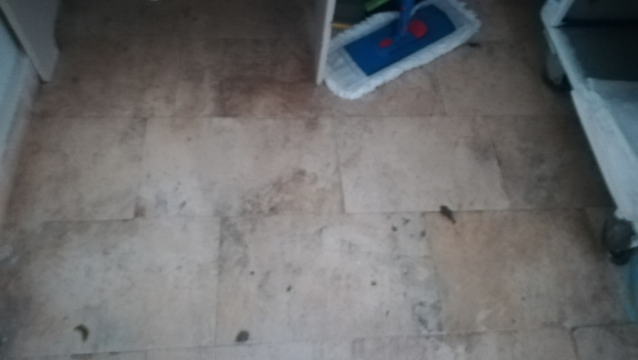 Zimmer Greenwood Kemer Resort