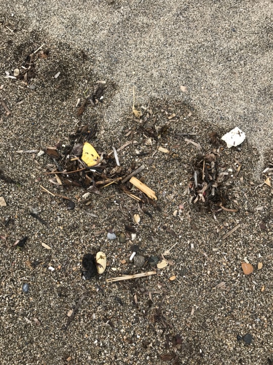 Strand Palmeras Beach Hotel