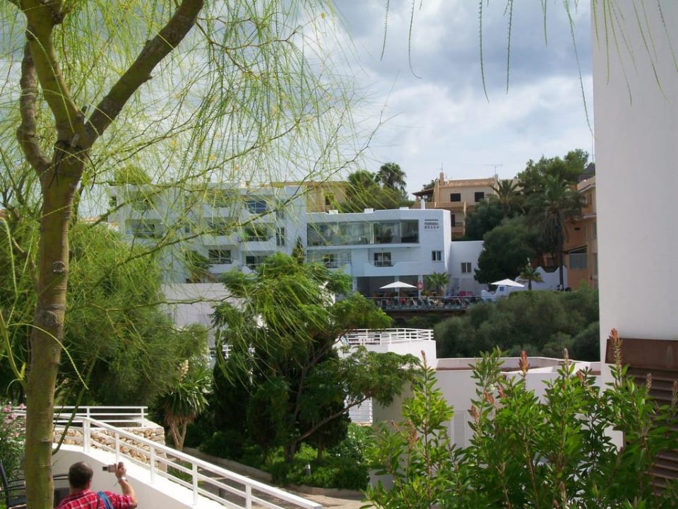 Rezeption  MarSenses Natura Olea Hotel