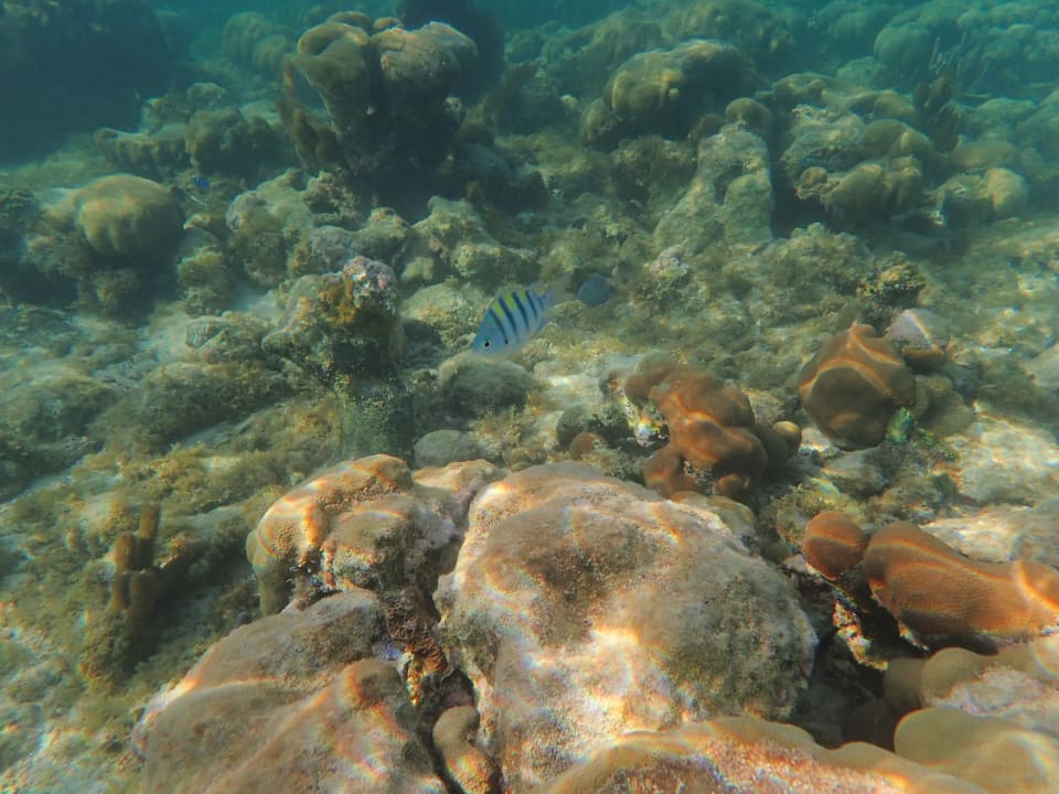 Strand Akumal Bay Beach & Wellness Resort