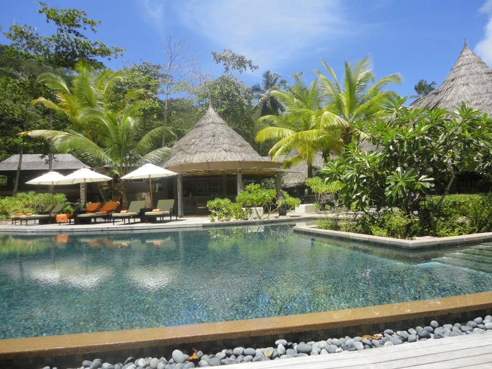 Wunderschön Constance Ephelia