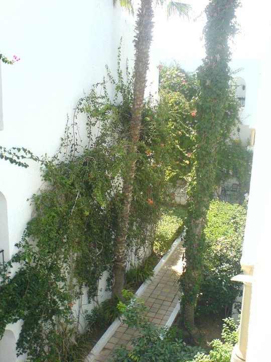 Palmengarten Hotel Nesrine