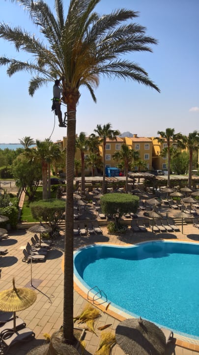 Pool Club del Sol Aparthotel