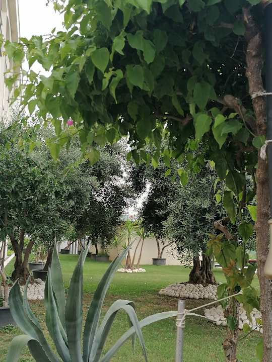 Gartenanlage Mary Hotel Side