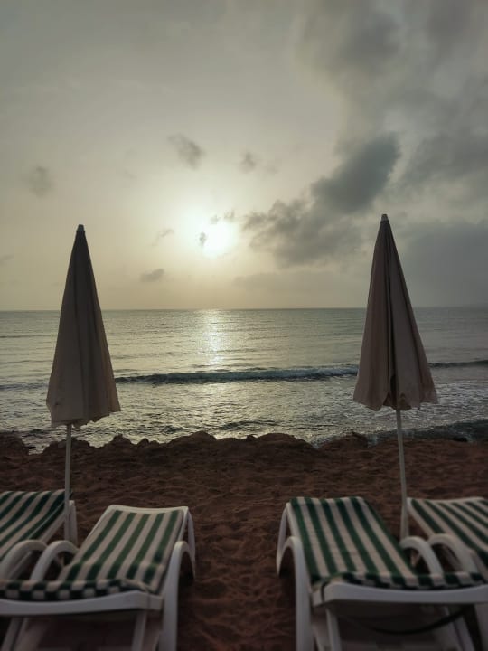 Strand Can Garden Beach