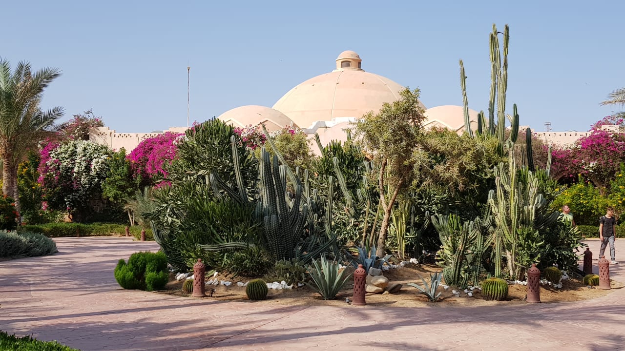 Gartenanlage Dream Lagoon Resort & Aqua Park