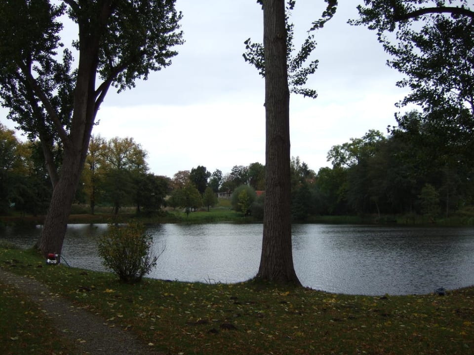 Kleiner Teich links vom Schloss Hotel Schloß Wedendorf