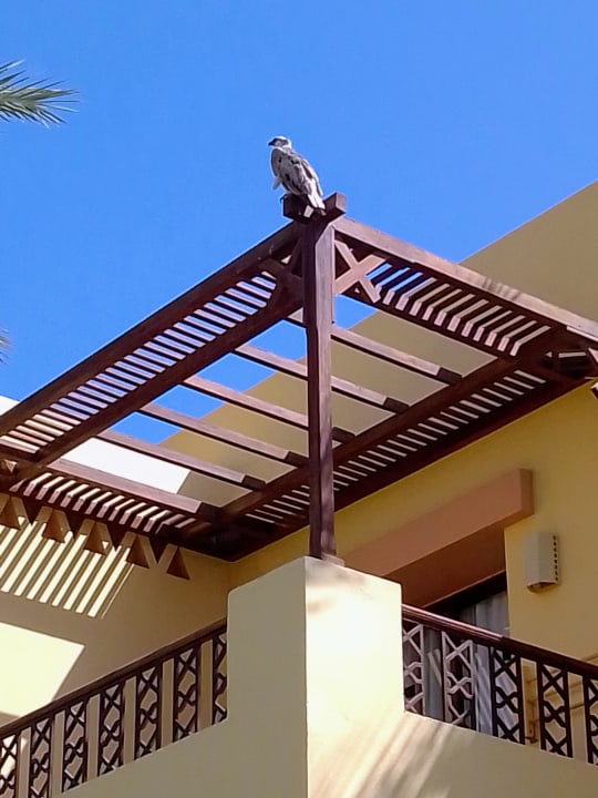 Ausblick Jaz Dar EL Madina