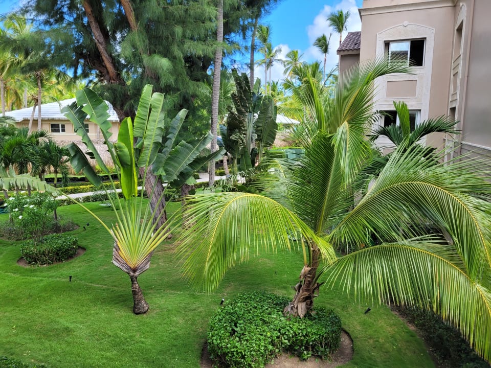 Gartenanlage Grand Palladium Select Bávaro Resort & Spa