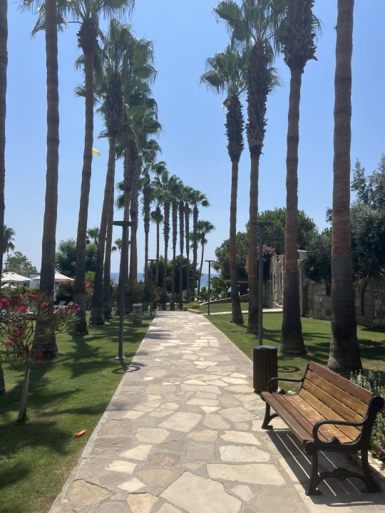 Gartenanlage Arum Barut Collection