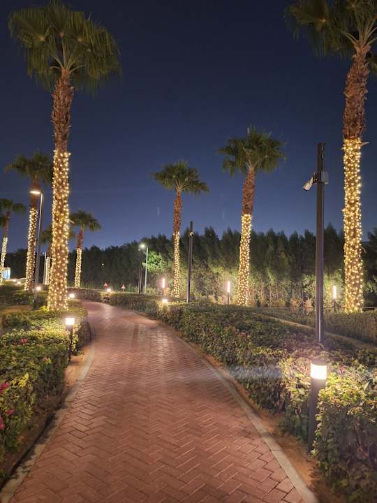 Gartenanlage Grand Hyatt Dubai