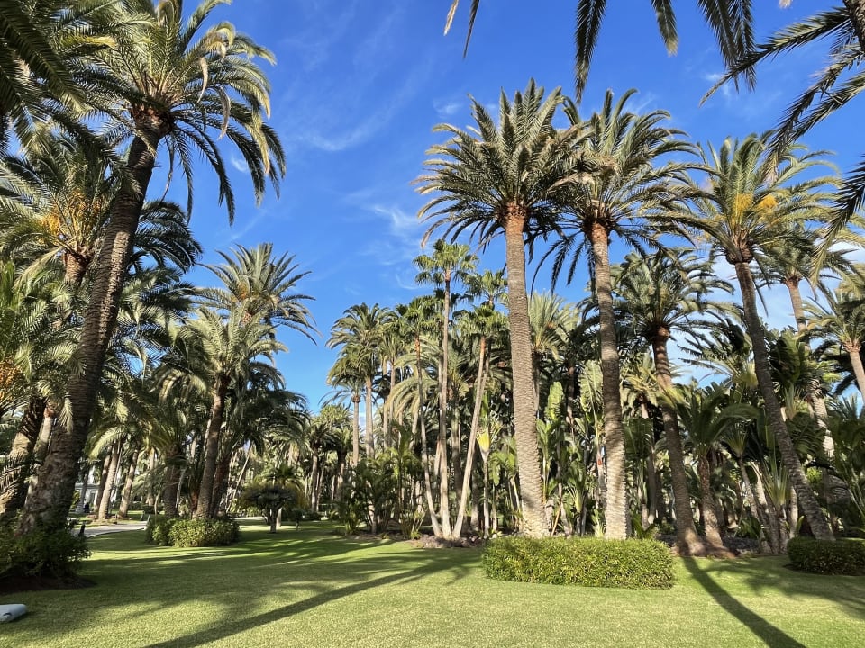 Gartenanlage Hotel Riu Palace Oasis