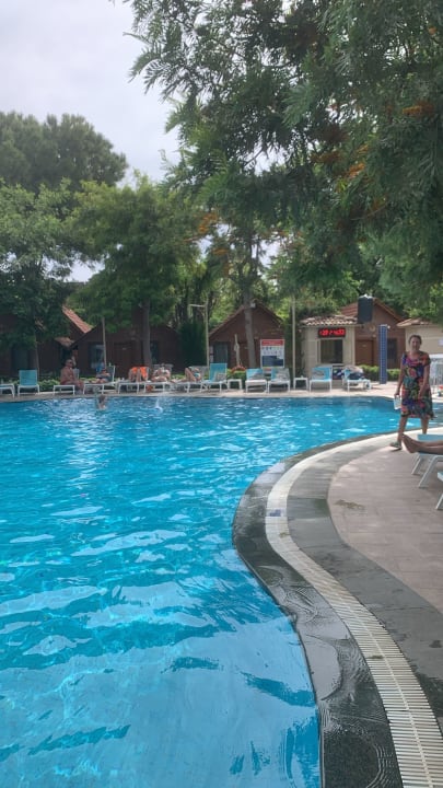 Pool Can Garden Beach