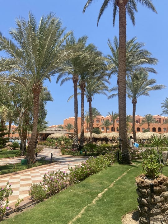 Gartenanlage Jaz Makadi Oasis Resort