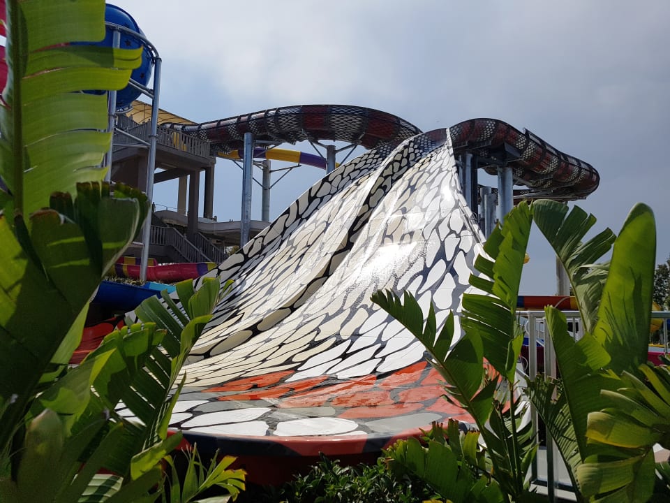 Sport & Freizeit Royal Seginus