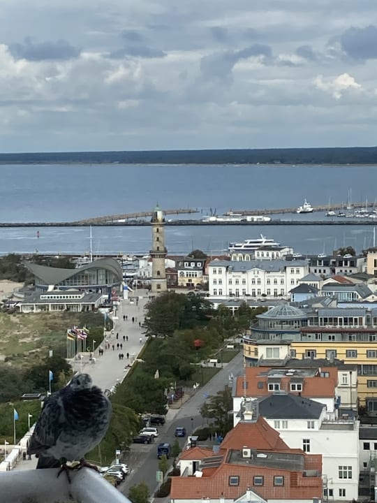 Ausblick Hotel Neptun