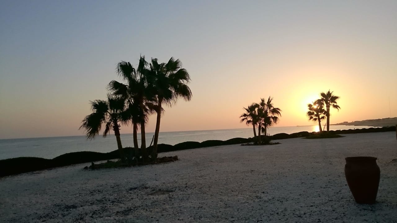 Sonnenaufgang 2 Mövenpick Resort El Quseir